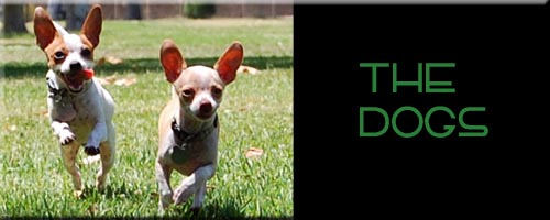 Dog Logo